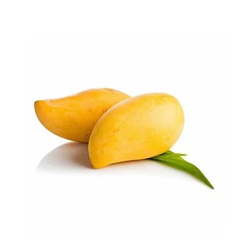 مانجه